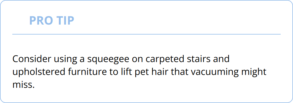 Pro Tip - Consider using a squeegee on carpeted stairs and upholstered furniture to lift pet hair that vacuuming might miss.