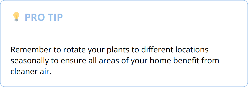 Pro Tip - Remember to rotate your plants to different locations seasonally to ensure all areas of your home benefit from cleaner air.